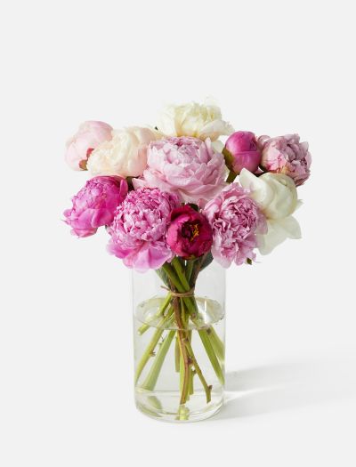 The Grower's Choice Peony-FLRL-B-02459